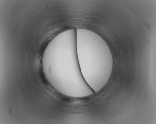 X0000114190746200910091027