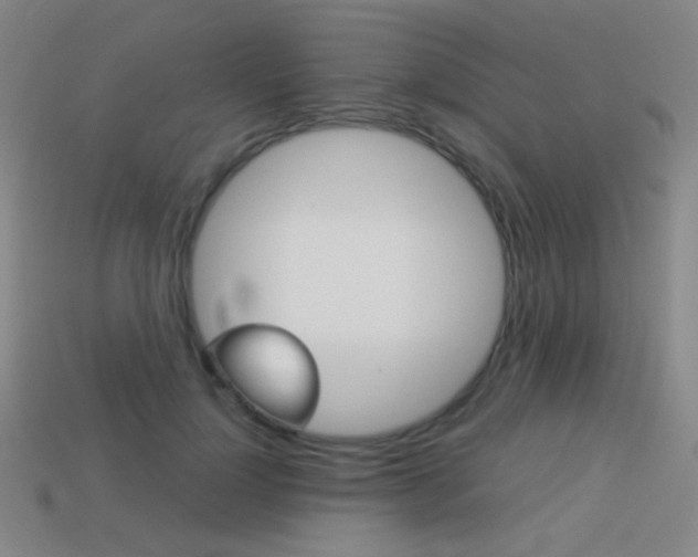 X0000114190748200910091027