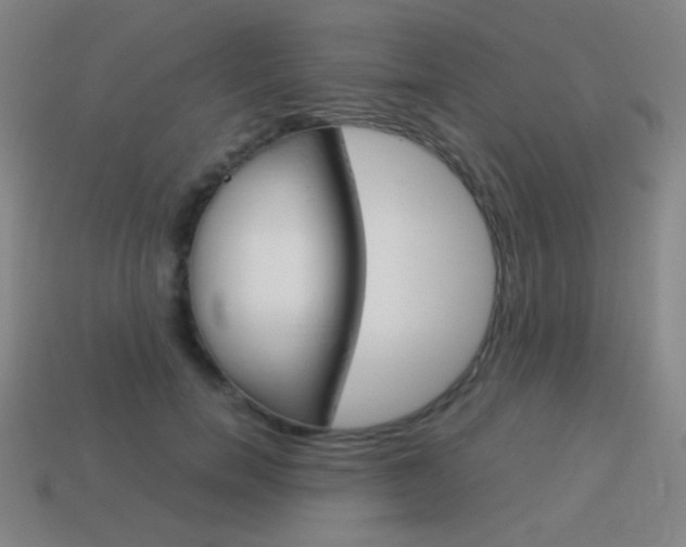 X0000114190750200910091027