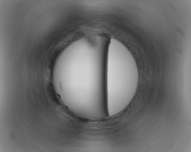 X0000114190752200910091028
