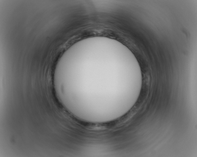X0000114190754200910091028