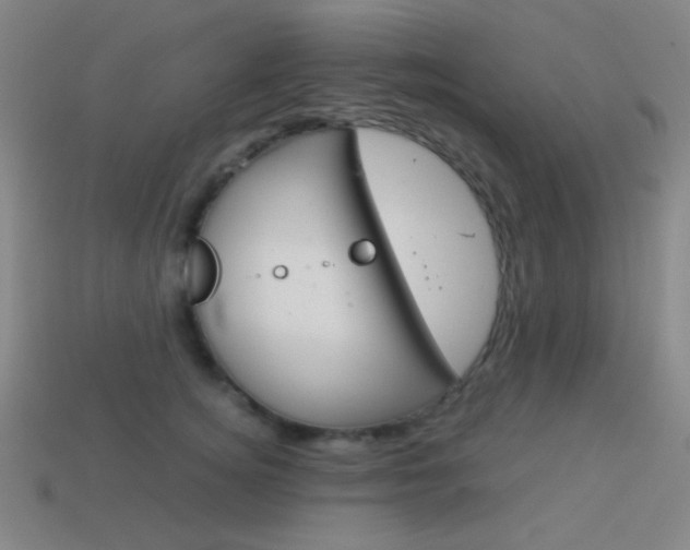 X0000114190756200910091028