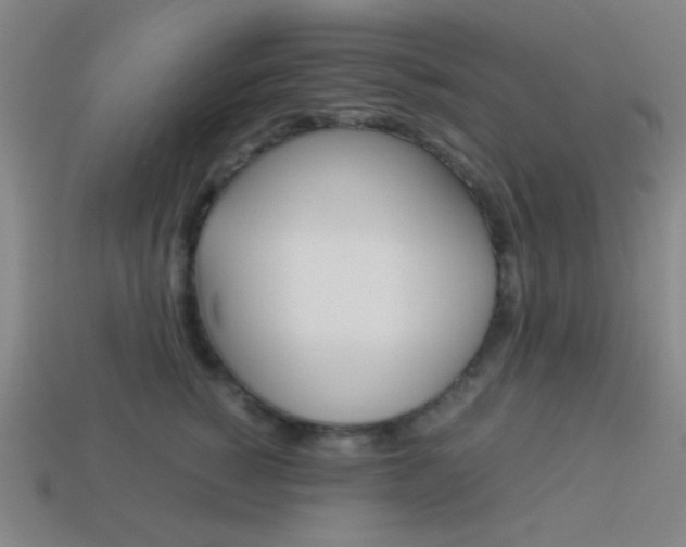 X0000114190760200910091028
