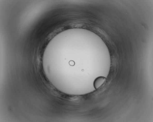 X0000114190761200910091028