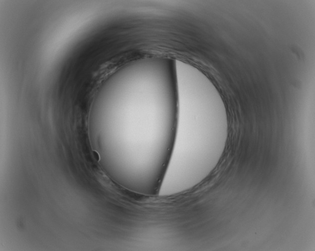 X0000114190762200910091028