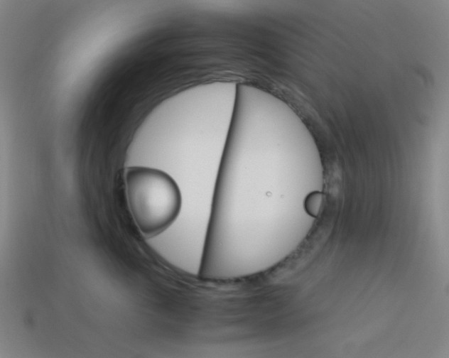 X0000114190763200910091028