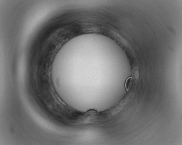 X0000114190764200910091028