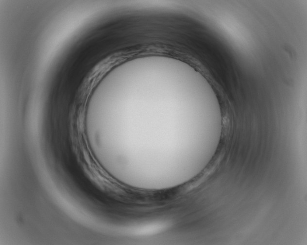 X0000114190765200910091028
