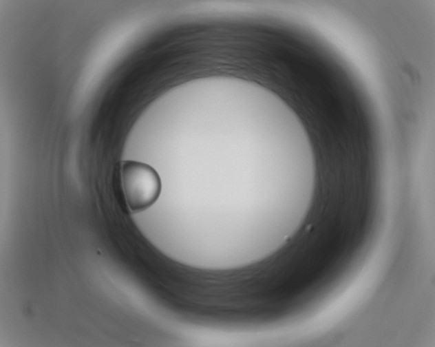 X0000114190766200910091028