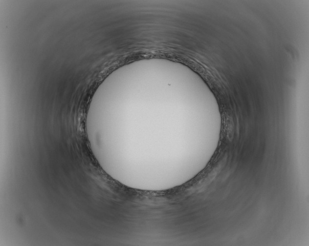 X0000114190770200910091027