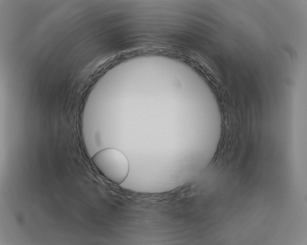 X0000114190773200910091027