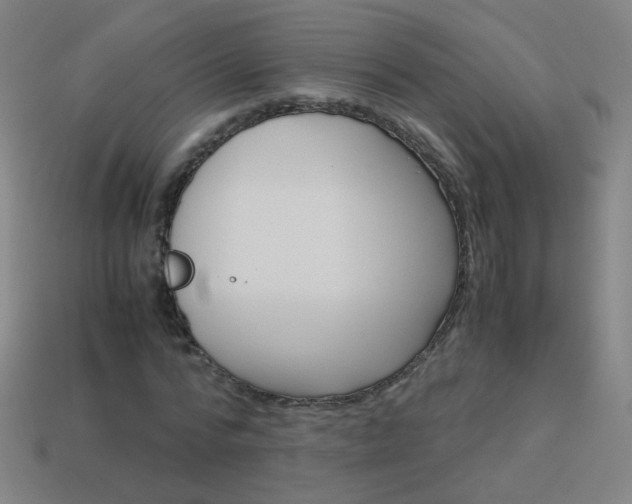 X0000114190776200910091027