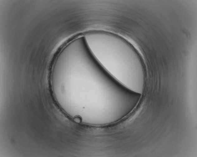 X0000114190783200910091027