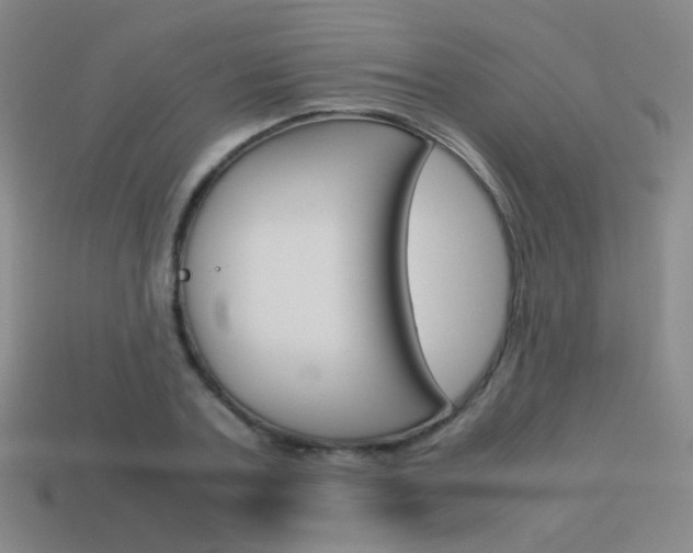X0000114190787200910091027