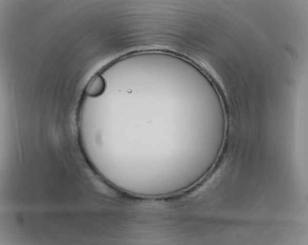X0000114190789200910091027