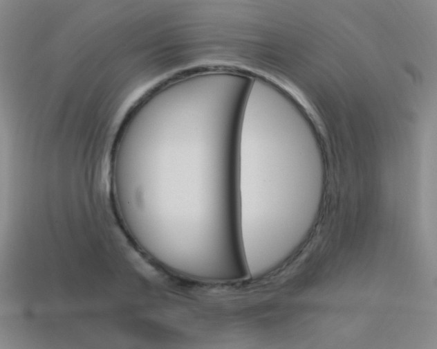 X0000114190791200910091027