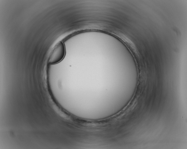 X0000114190792200910091027