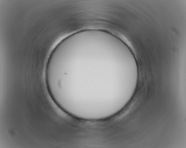 X0000114190803200910091027