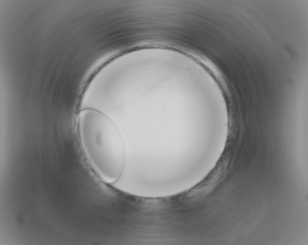 X0000114190807200910091027