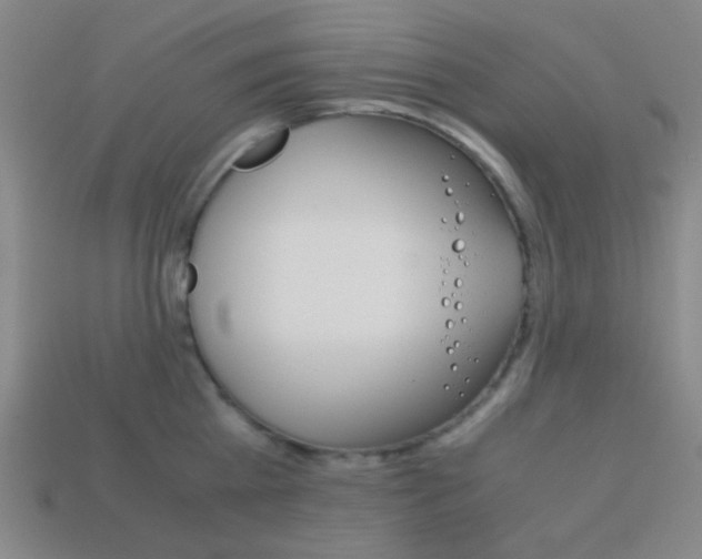 X0000114190809200910091027