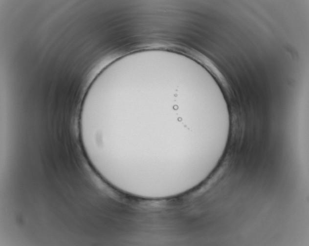 X0000114190810200910091027