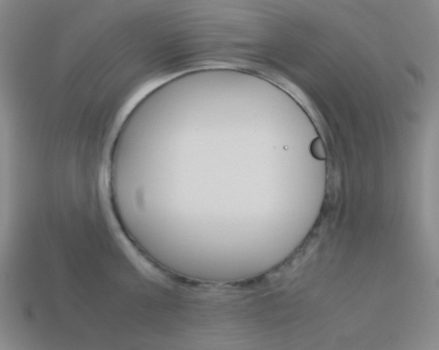 X0000114190811200910091027