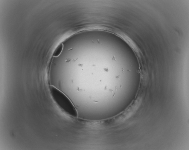 X0000114190813200910091027