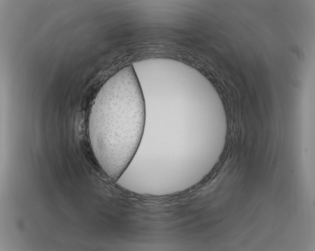 X0000114190818200910091026