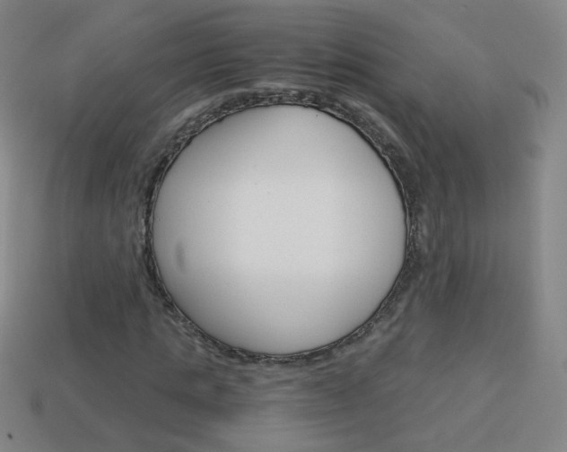 X0000114190821200910091026