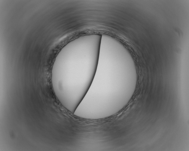 X0000114190822200910091026
