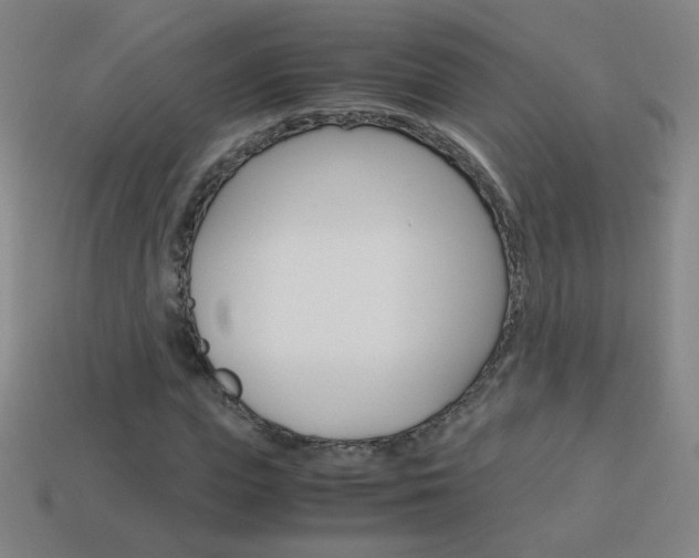 X0000114190823200910091026