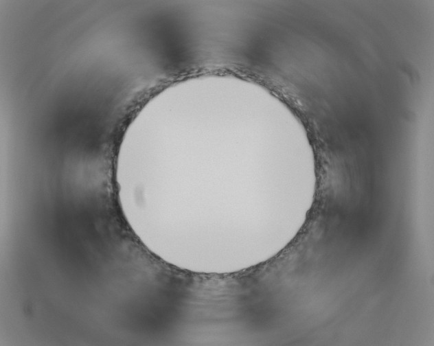 X0000114190824200910091026