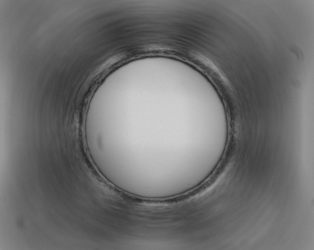X0000114190825200910091026