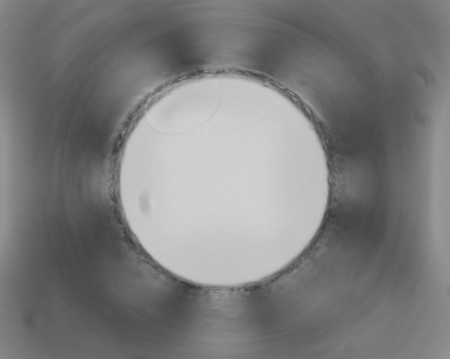 X0000114190832200910091026