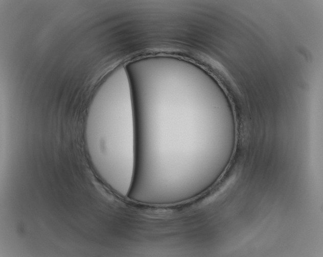 X0000114190833200910091026