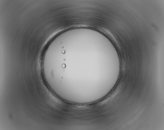 X0000114190835200910091026
