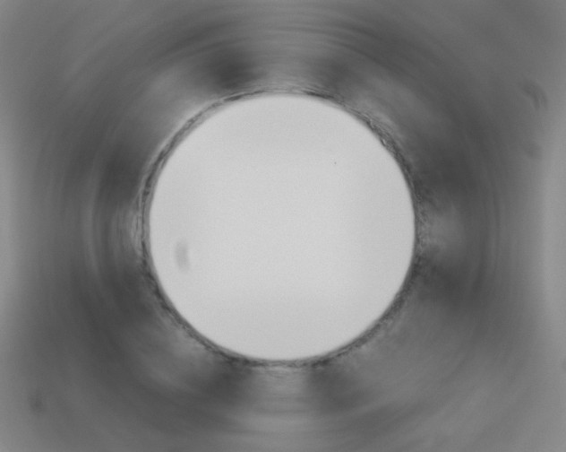 X0000114190836200910091026