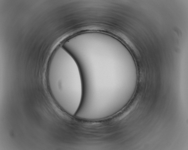 X0000114190837200910091026