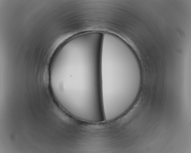 X0000114190838200910091026