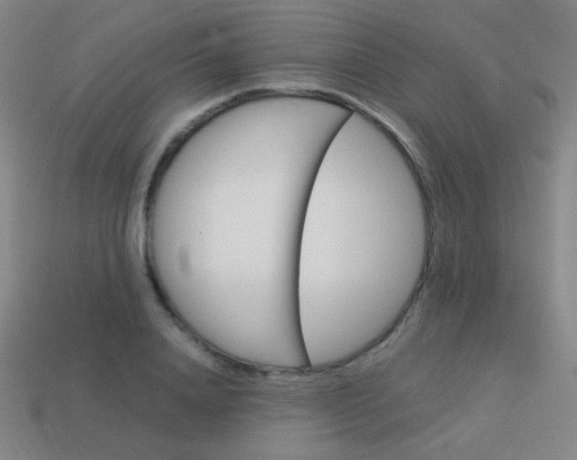 X0000114190840200910091026