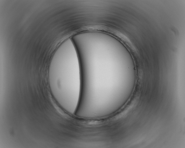 X0000114190841200910091026