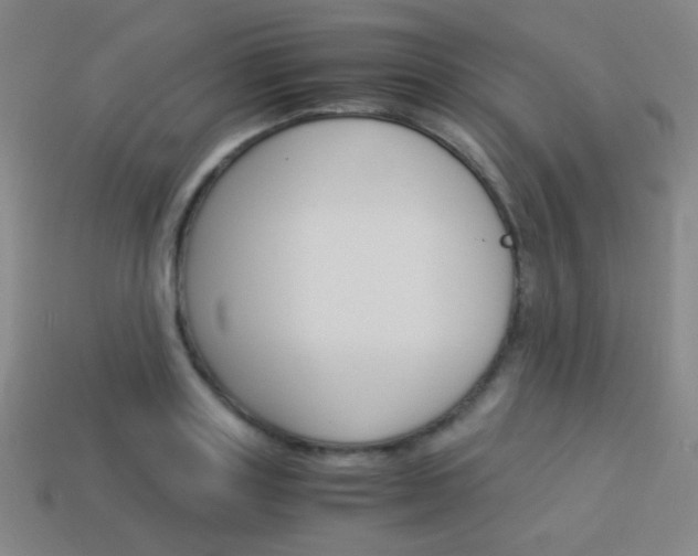 X0000114190843200910091026