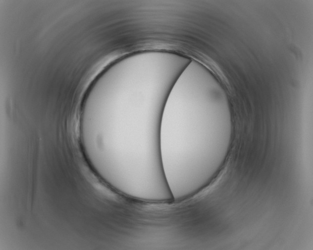 X0000114190844200910091026
