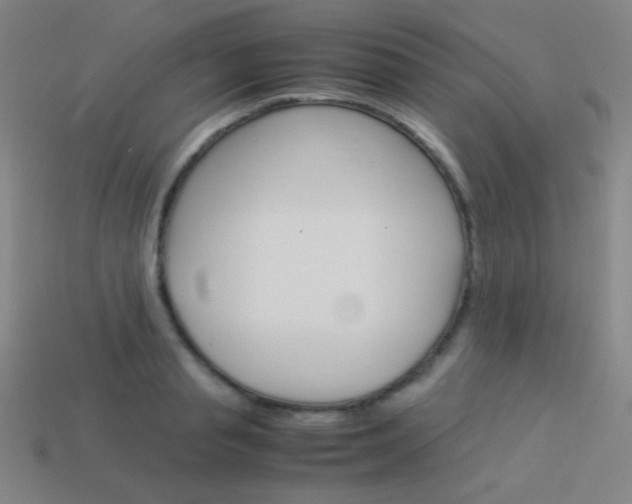 X0000114190845200910091026