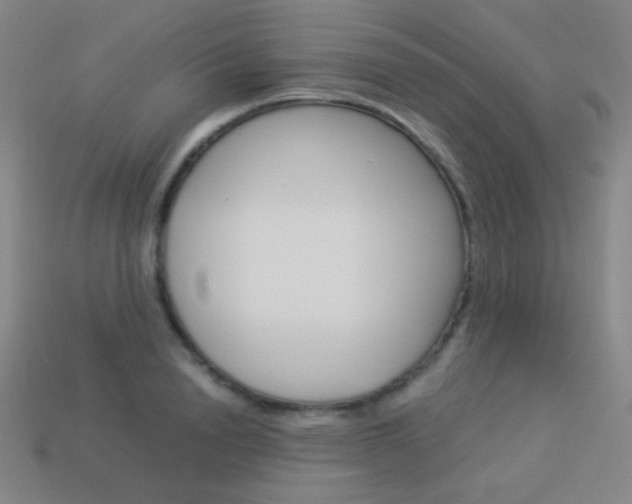 X0000114190846200910091026