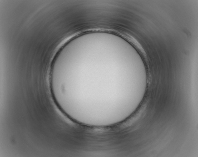 X0000114190847200910091026