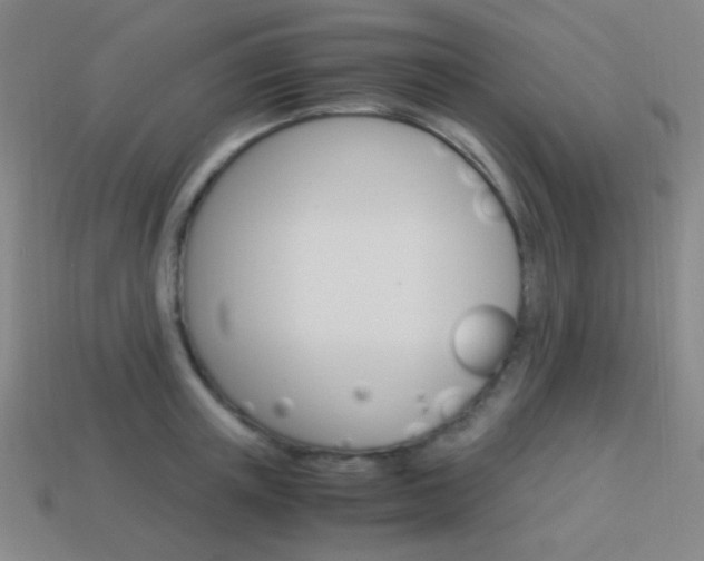 X0000114190851200910091026