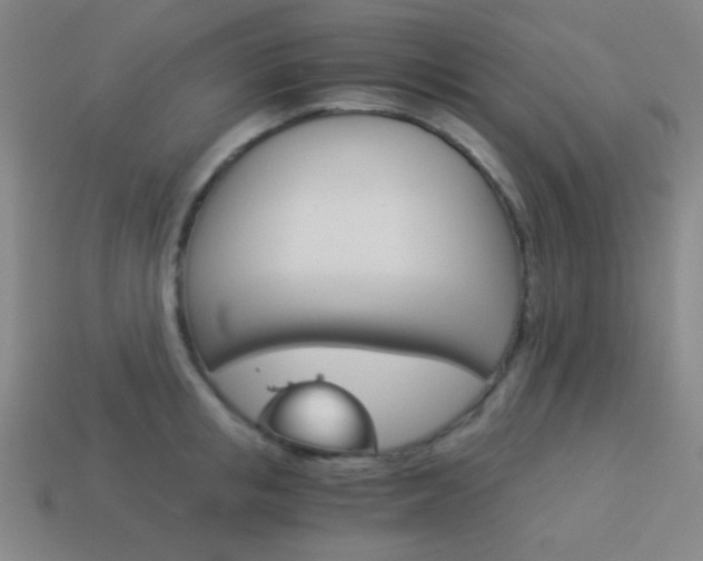 X0000114190853200910091026