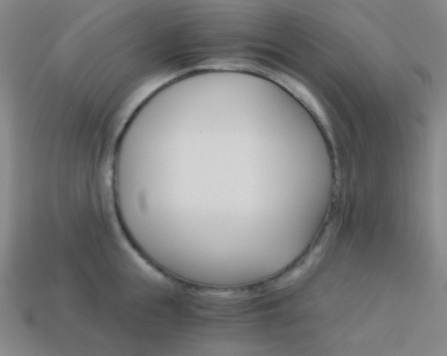 X0000114190855200910091026