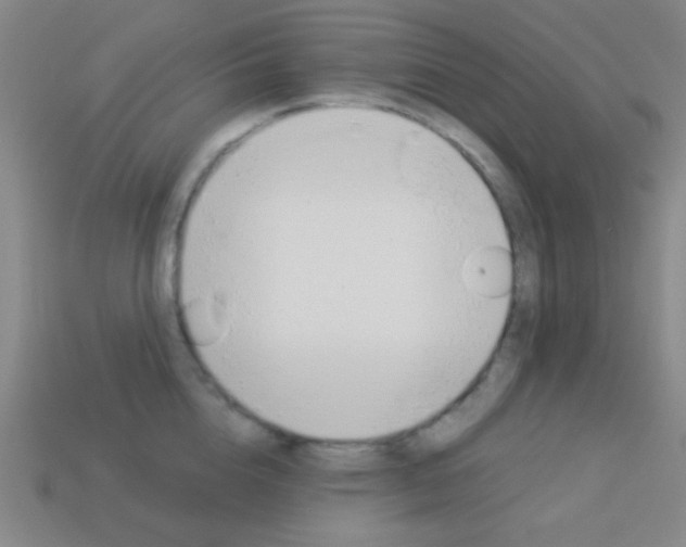 X0000114190856200910091026